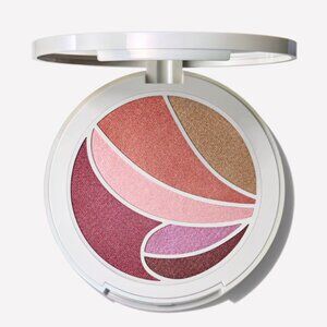 MAC Metamorphosis Face & Eye Palette (NEW/LIMITED EDITION)